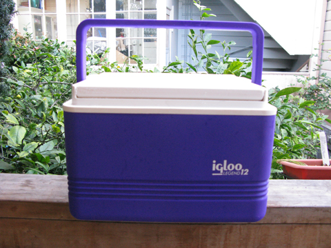 little igloo cooler